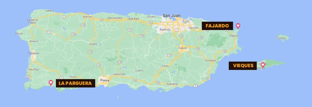 Puerto Rico Bioluminiscent Locations - Tralei