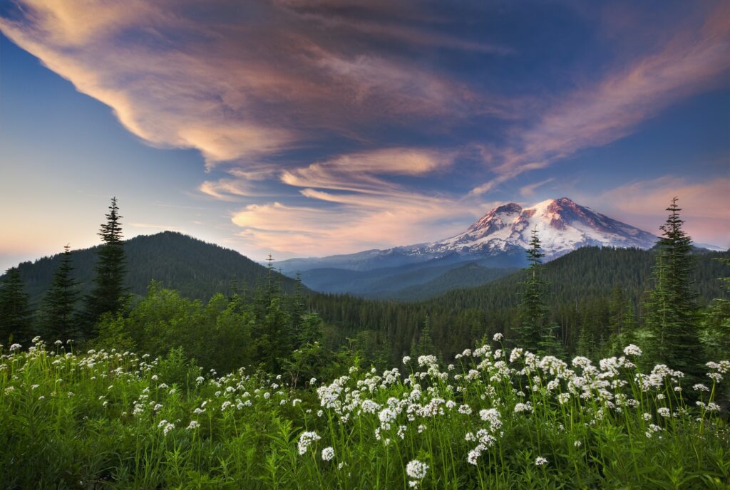Mount Rainier National Park, Washington State, USA