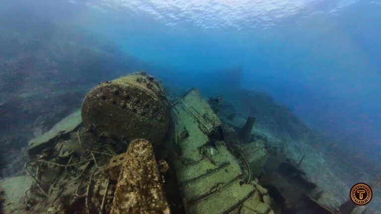 Palm-Mar Ship wreckage